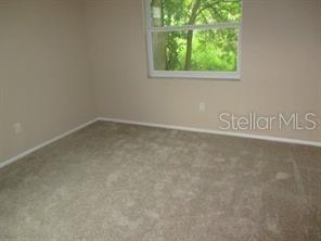 An empty bedroom features beige walls, neutral carpeting, and a window overlooking green trees — 4851 BILLY DIRECT LANE, LUTZ, FL