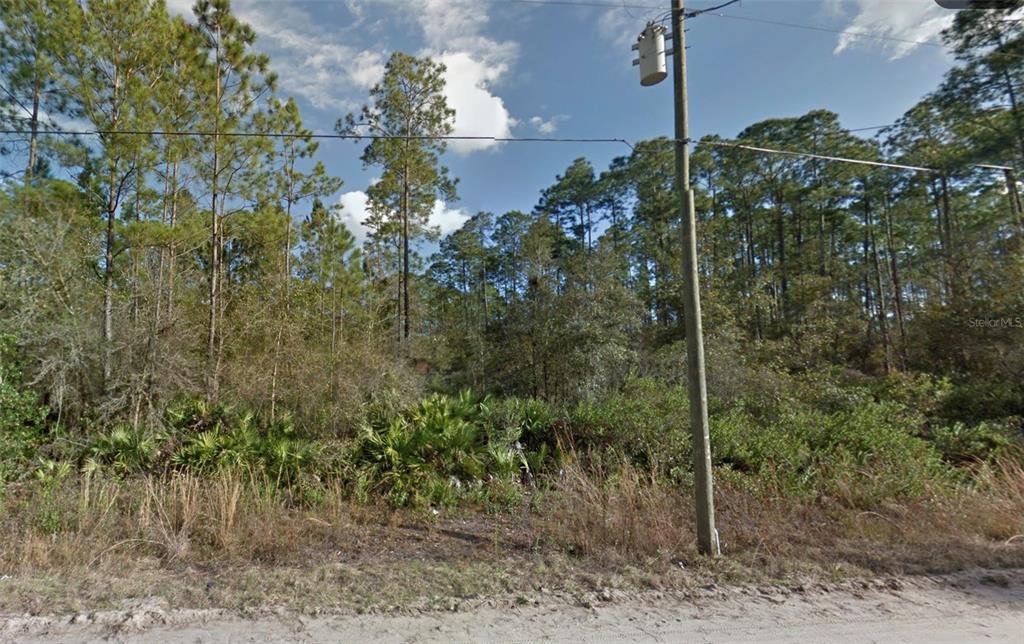 A wooded, undeveloped lot features dense vegetation and a utility pole along a dirt road — INTERLACHEN LAKES ESTATES, INTERLACHEN, FL