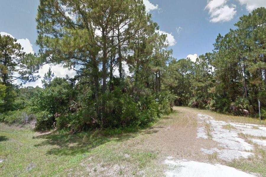 A dirt path leads into a wooded area with tall pine trees and dense vegetation — APRICOLA ROAD, NORTH PORT, FL