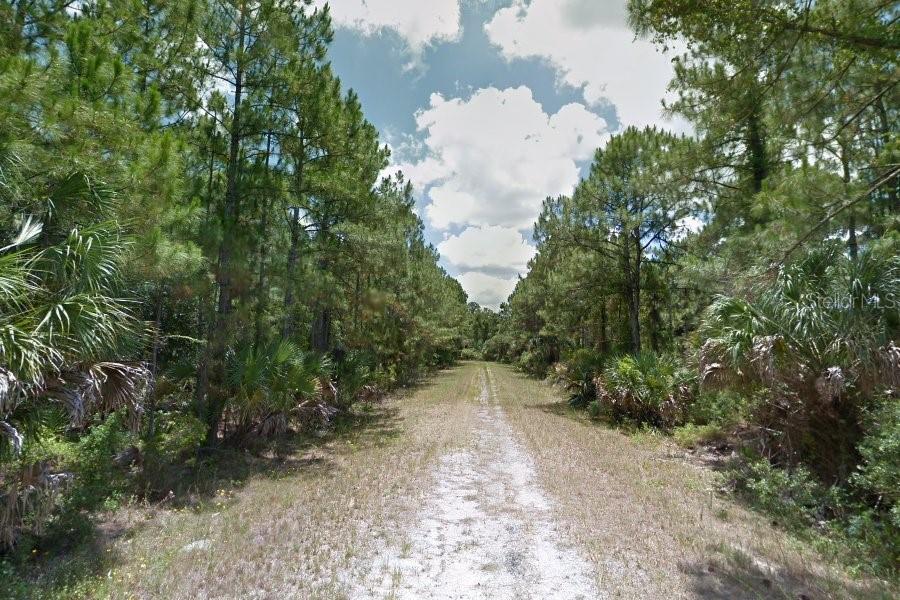 A dirt path leads through a wooded area with tall pine trees and palmetto bushes — APRICOLA ROAD, NORTH PORT, FL