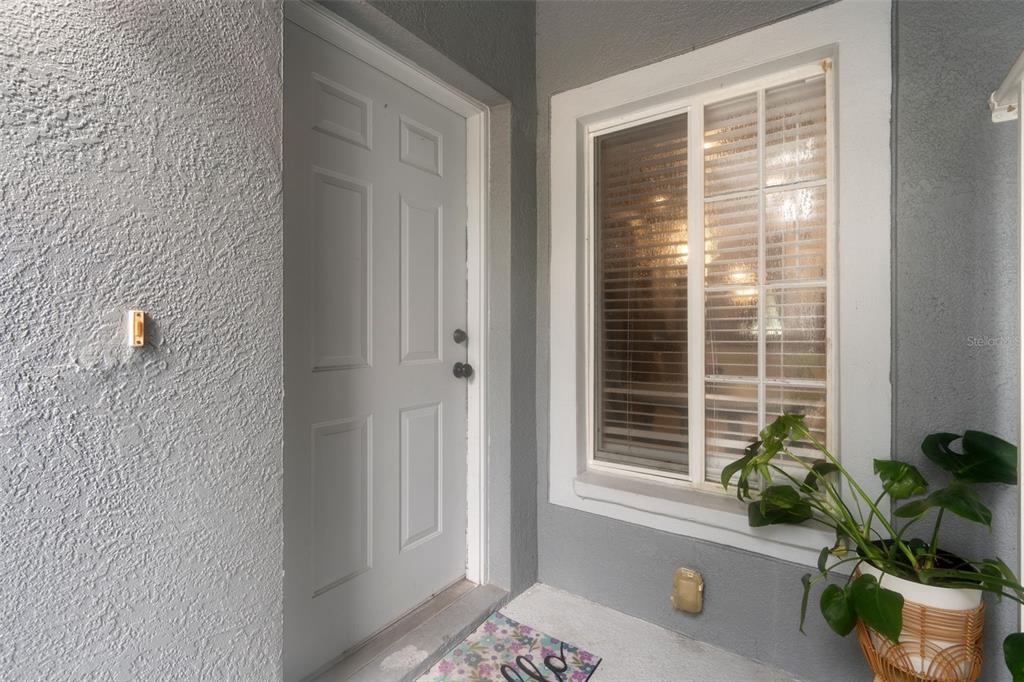 A gray exterior entryway features a white door, a window with blinds, and a potted plant — 18105 NASSAU POINT DRIVE, TAMPA, FL