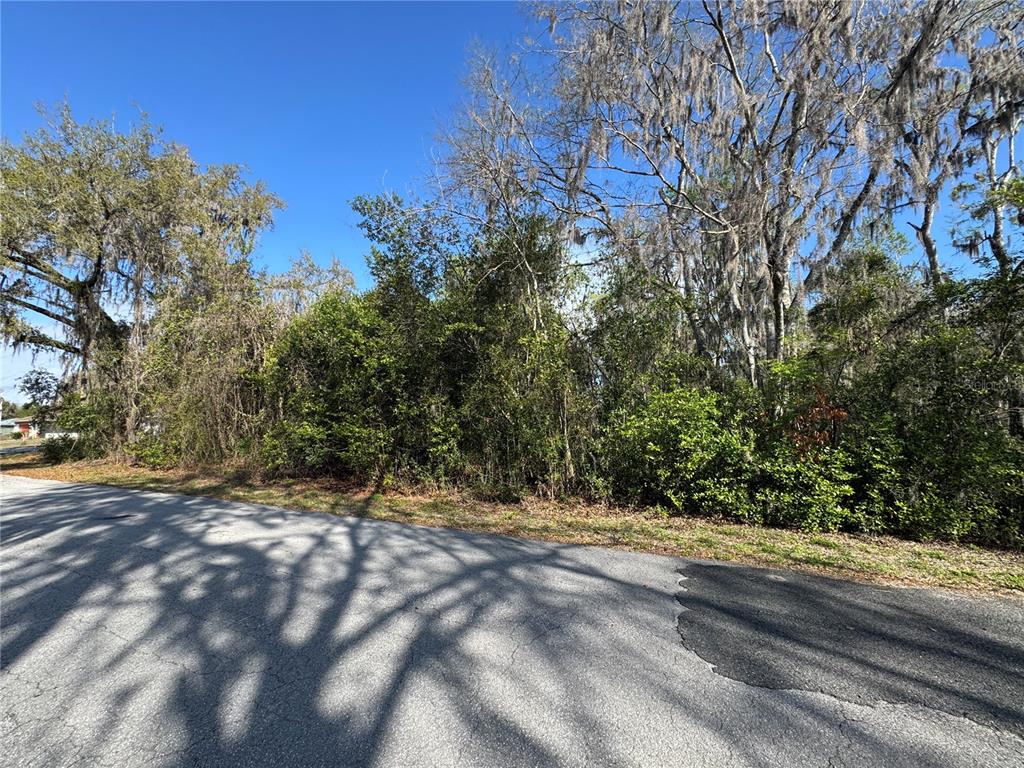 A paved road runs alongside a densely wooded lot with large trees draped in moss — CR 482C, LAKE PANASOFFKEE, FL