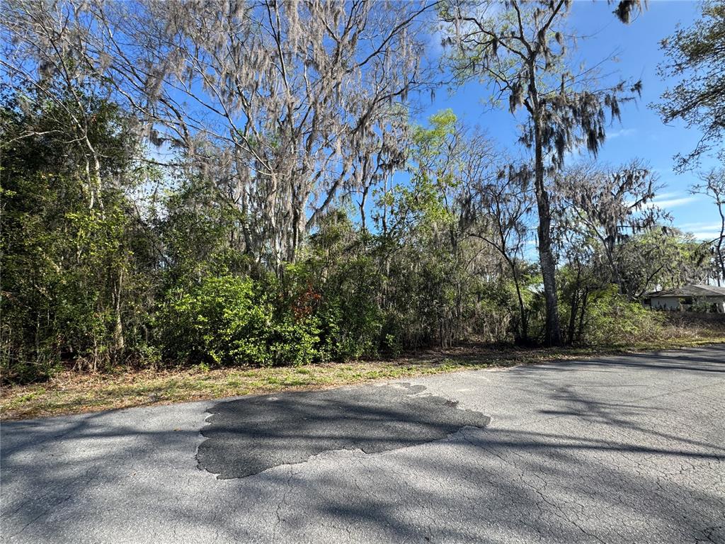 A paved road leads to a densely wooded, undeveloped lot with Spanish moss-covered trees — CR 482C, LAKE PANASOFFKEE, FL
