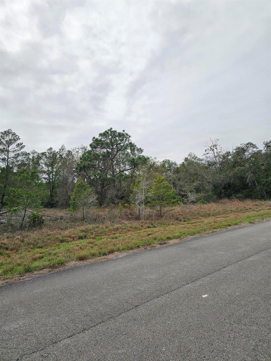 A paved road runs alongside a vacant, wooded lot under a cloudy sky — 35485 NE 7th Drive, Okeechobee FL 34972, OKEECHOBEE, FL