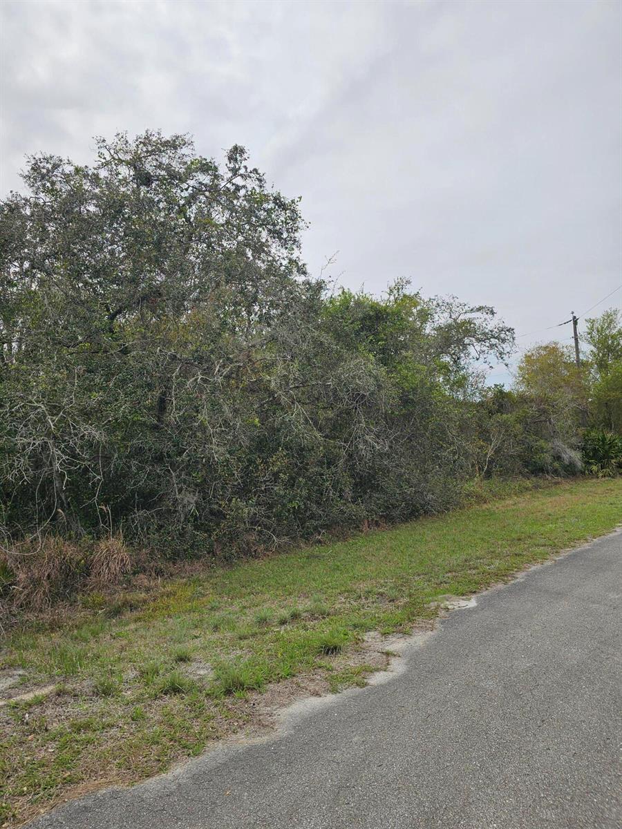 A paved road runs alongside a dense, wooded lot under a cloudy sky — 35485 NE 7th Drive, Okeechobee FL 34972, OKEECHOBEE, FL