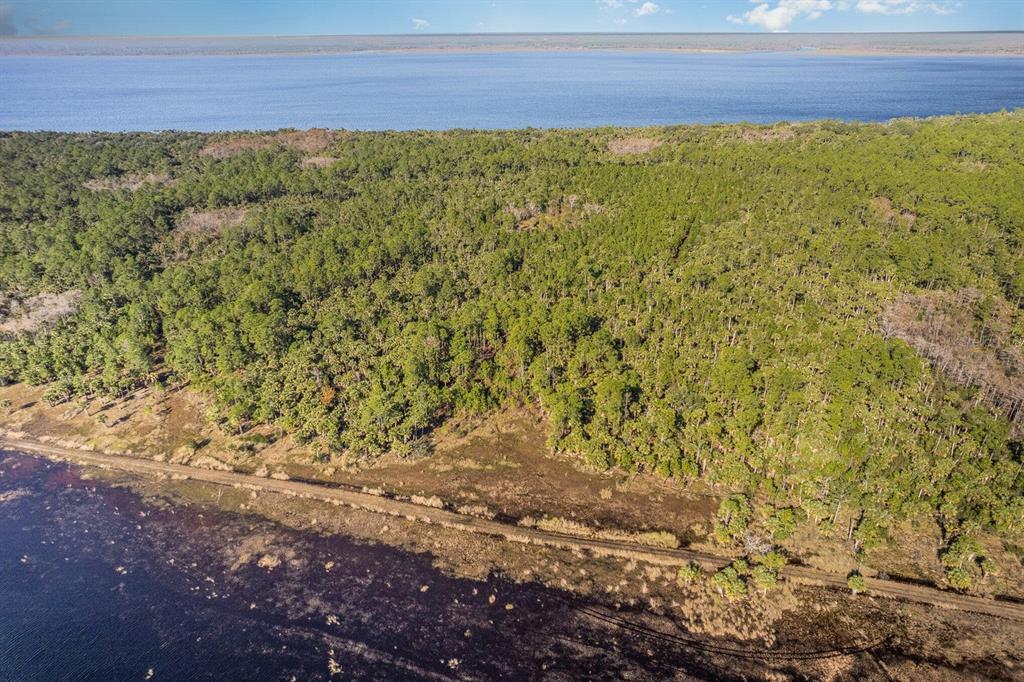 An aerial view shows a dense forest bordering a dark lake with a dirt road nearby — LAKE HARNEY WOODS BOULEVARD, OSTEEN, FL