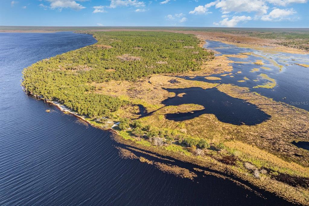 An aerial view shows a forested peninsula extending into a large lake with marshy shorelines — LAKE HARNEY WOODS BOULEVARD, OSTEEN, FL