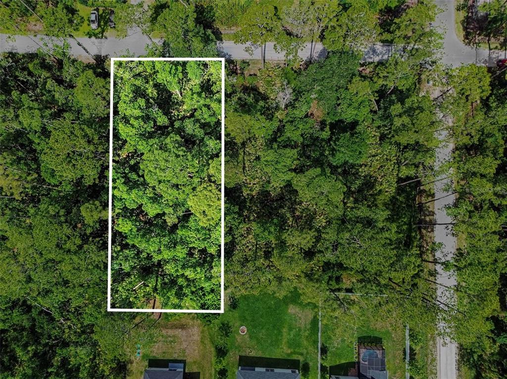 An aerial view shows a rectangular wooded lot outlined in white next to residential houses — 1465 EAST PARKWAY, DELAND, FL