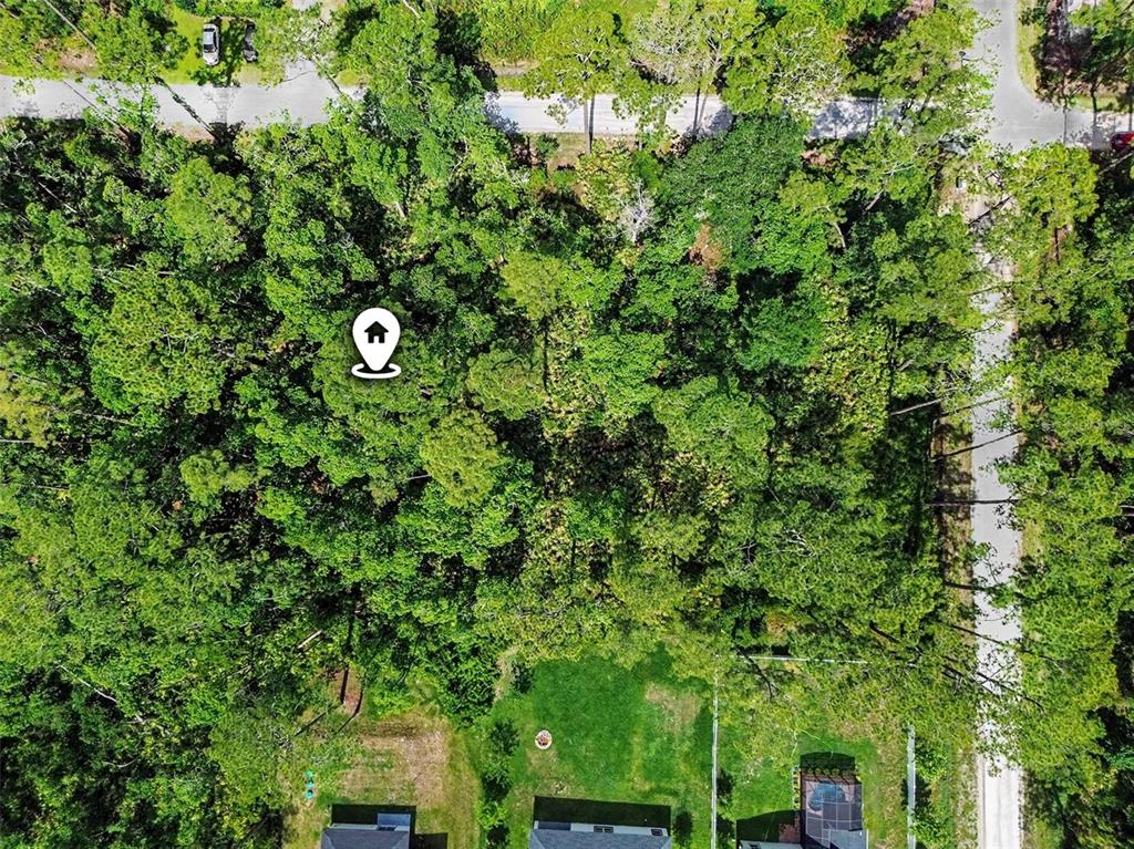 An aerial view shows a wooded lot with a location pin in a residential area — 1465 EAST PARKWAY, DELAND, FL