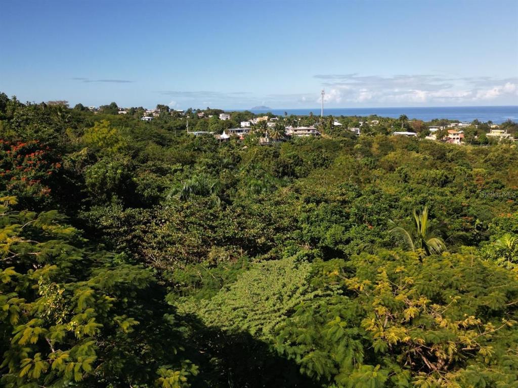 CARR 413 KM 4.4, RINCON, PR — photo 4 of 7