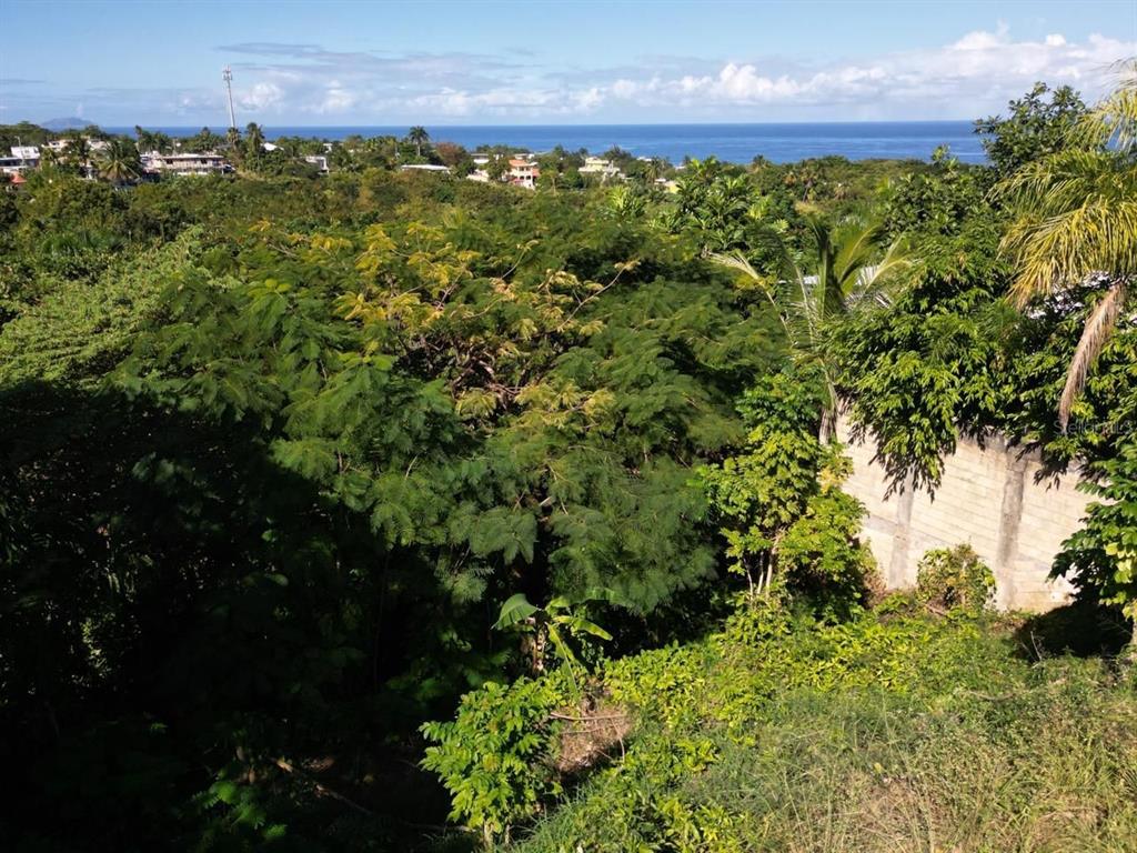 CARR 413 KM 4.4, RINCON, PR — photo 5 of 7