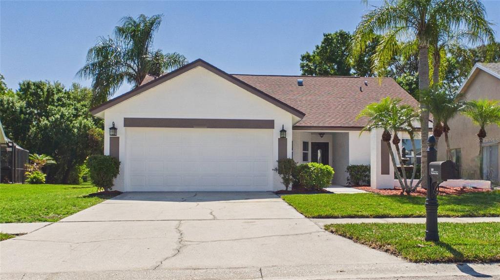 A single-story house with a white stucco exterior, a two-car garage, and a palm tree — 8609 BOYSENBERRY DRIVE, TAMPA, FL