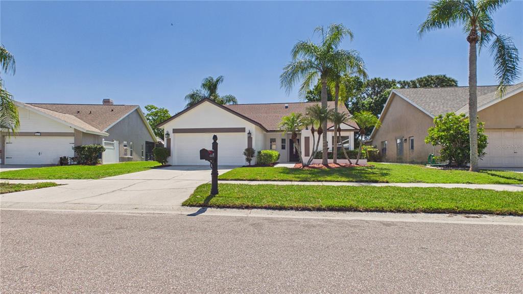 A single-story house with a white facade, a two-car garage, and palm trees in front — 8609 BOYSENBERRY DRIVE, TAMPA, FL
