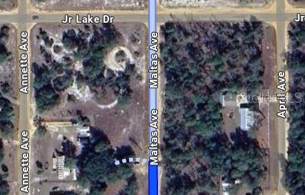 00 MALTAS AVENUE, INTERLACHEN, FL — photo 2 of 5