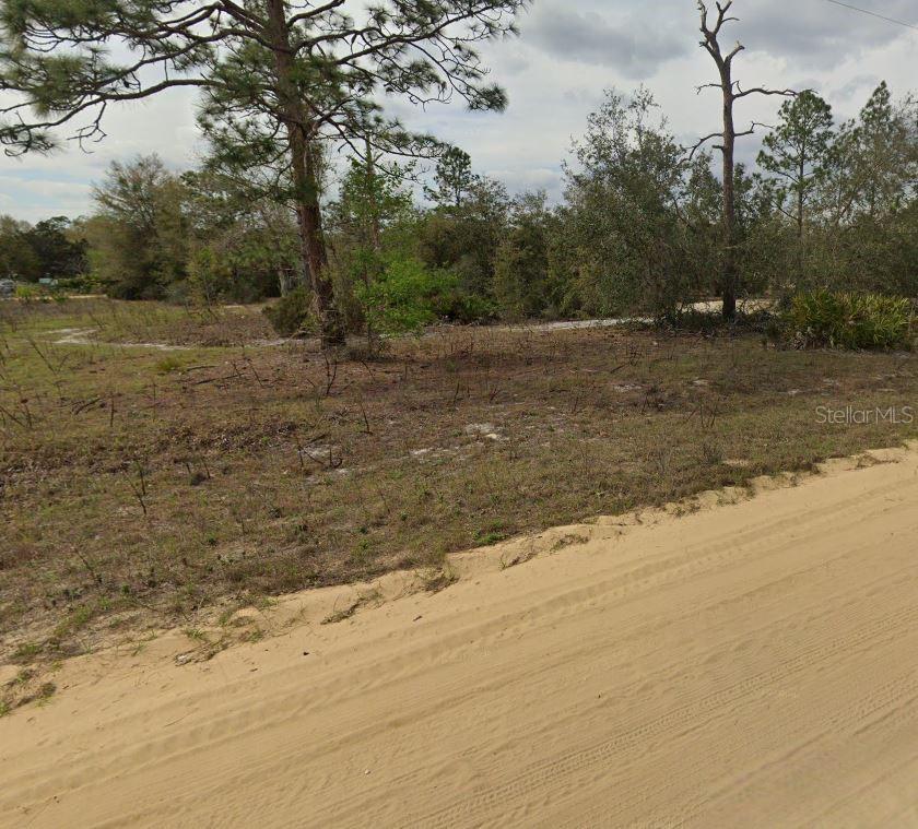 00 MALTAS AVENUE, INTERLACHEN, FL — photo 4 of 5