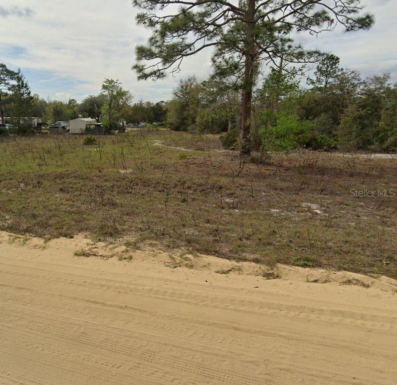 00 MALTAS AVENUE, INTERLACHEN, FL — photo 5 of 5
