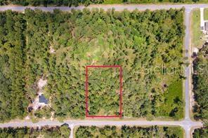 SAFFRON AVENUE, EUSTIS, FL — photo 4 of 5