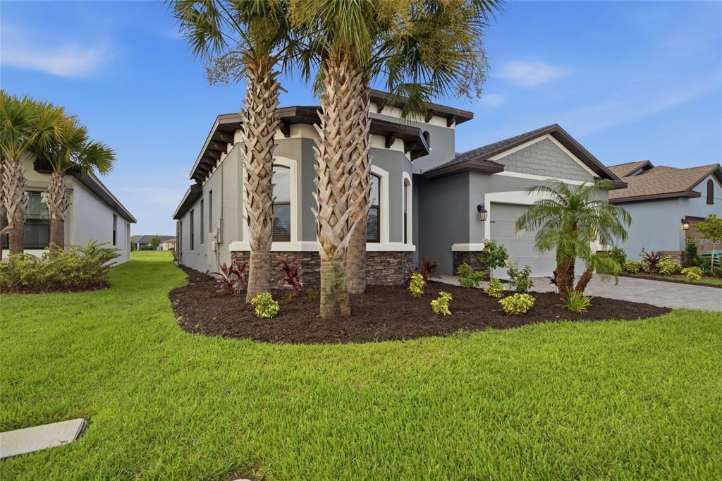 A gray single-story house with a stone facade, palm trees, and a paved driveway — 34119 EVERGREEN HILL COURT, WESLEY CHAPEL, FL