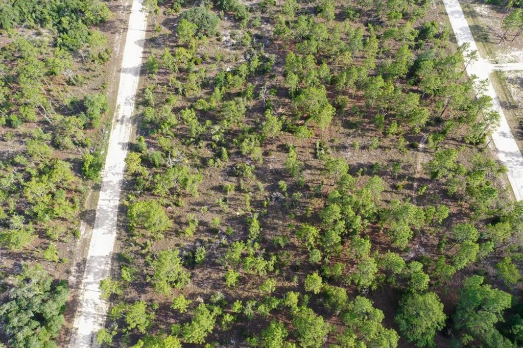 An aerial view shows a wooded, undeveloped lot situated between two dirt roads — 0000 NE 132 TERRACE LOT 3 TERRACE, WILLISTON, FL
