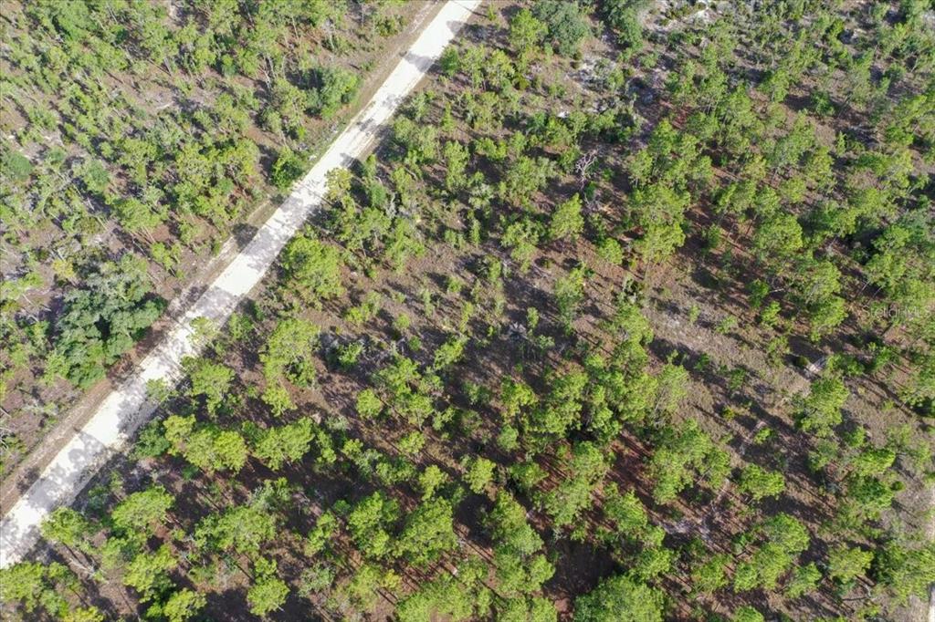 An aerial view shows a dirt road cutting through a wooded, undeveloped plot of land — 0000 NE 132 TERRACE LOT 3 TERRACE, WILLISTON, FL