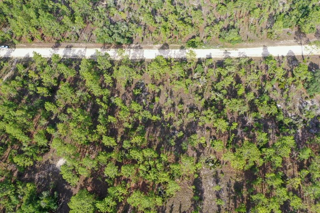 An aerial view shows a dirt road running horizontally through a wooded, undeveloped lot — 0000 NE 132 TERRACE LOT 3 TERRACE, WILLISTON, FL