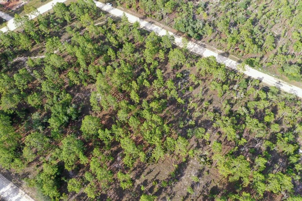An aerial view shows a wooded, undeveloped plot of land adjacent to a paved road — 0000 NE 132 TERRACE LOT 3 TERRACE, WILLISTON, FL