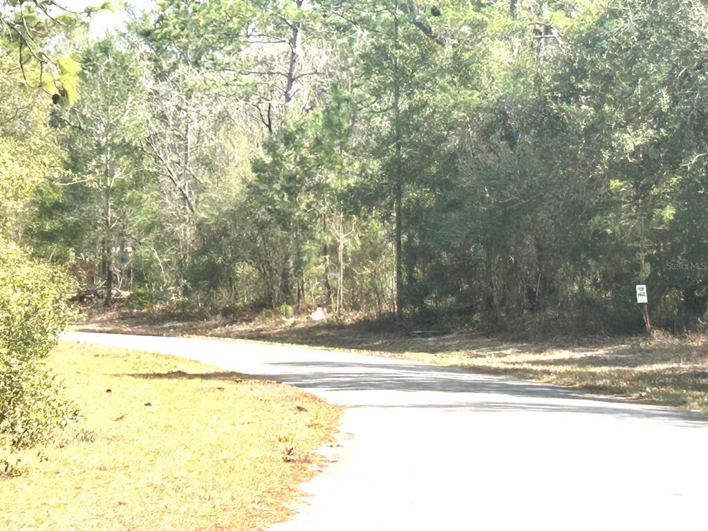 A paved road curves past a wooded lot with a small sign on the right — 0 SW 163RD STREET ROAD, OCALA, FL