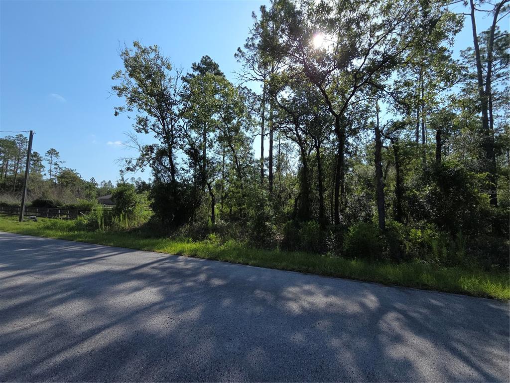 A paved road runs alongside a wooded lot with dense trees and vegetation — Lot 37 SW HUNTER HILL AVENUE, DUNNELLON, FL