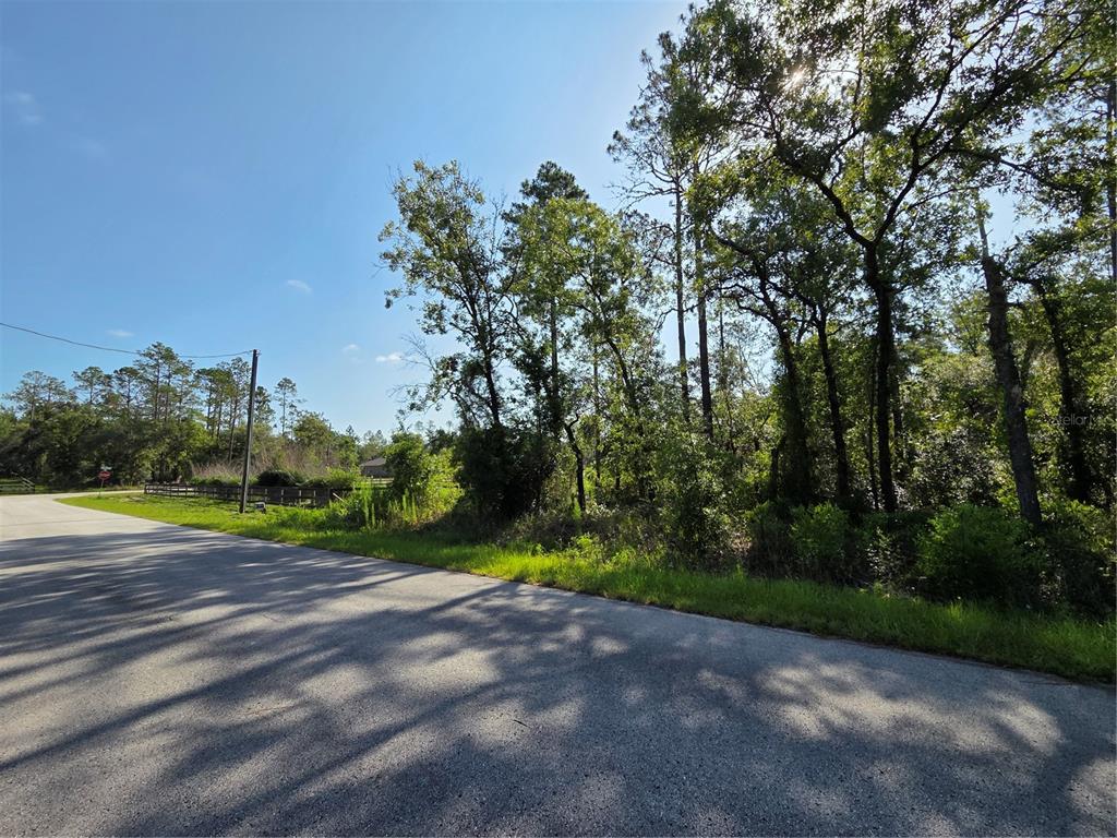 A paved road runs alongside a wooded lot under a clear blue sky — Lot 37 SW HUNTER HILL AVENUE, DUNNELLON, FL