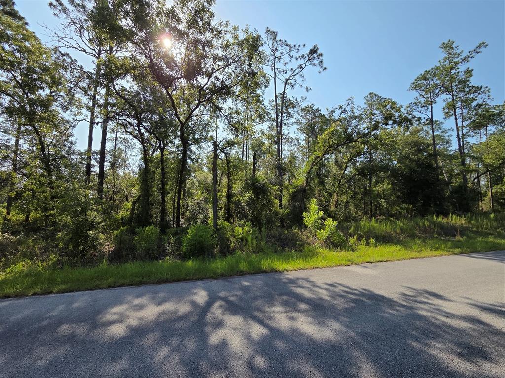 A paved road runs alongside a wooded lot with tall trees under a bright sky — Lot 37 SW HUNTER HILL AVENUE, DUNNELLON, FL