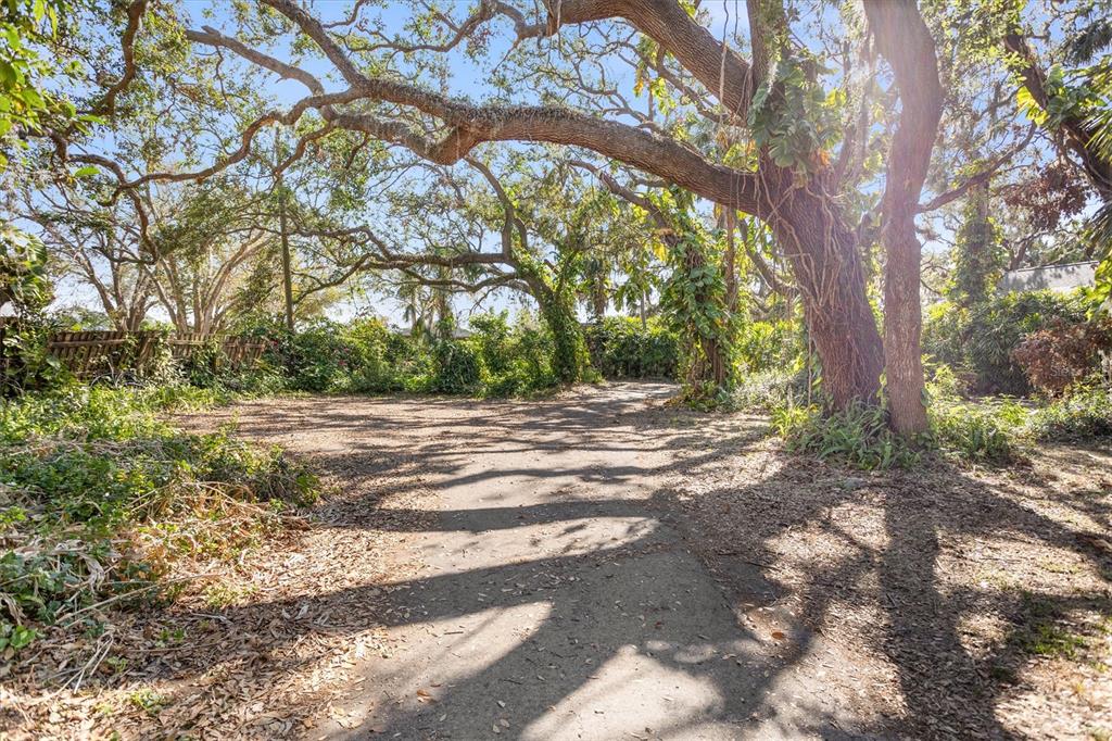 A paved driveway leads toward a wooded area shaded by large, mature oak trees — 8725 ERIE LANE, PARRISH, FL