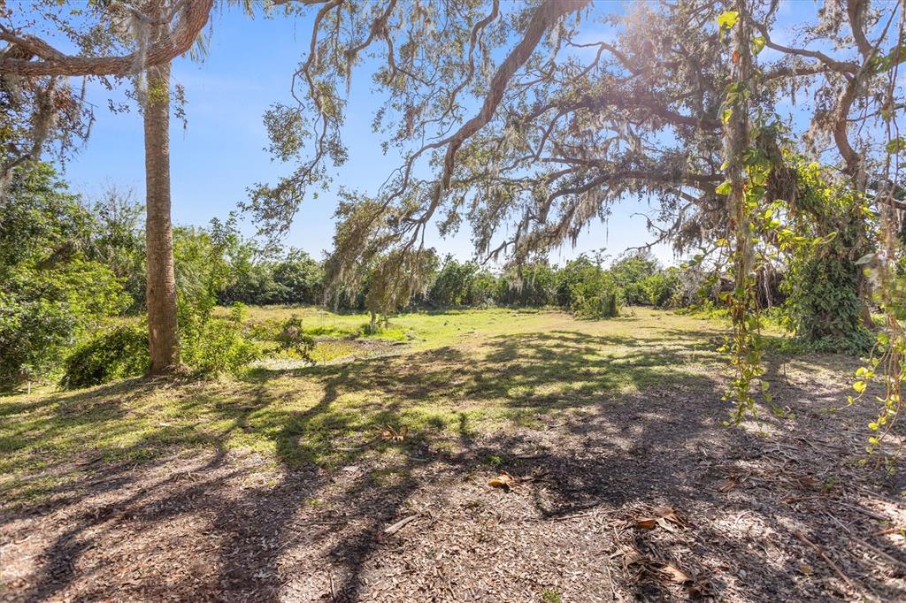 A grassy, sunlit clearing is framed by large, moss-draped oak trees under a blue sky — 8725 ERIE LANE, PARRISH, FL