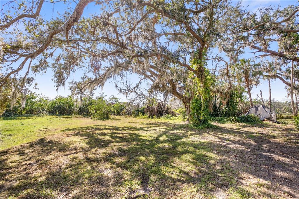 A large, grassy lot features several mature oak trees draped in Spanish moss — 8725 ERIE LANE, PARRISH, FL