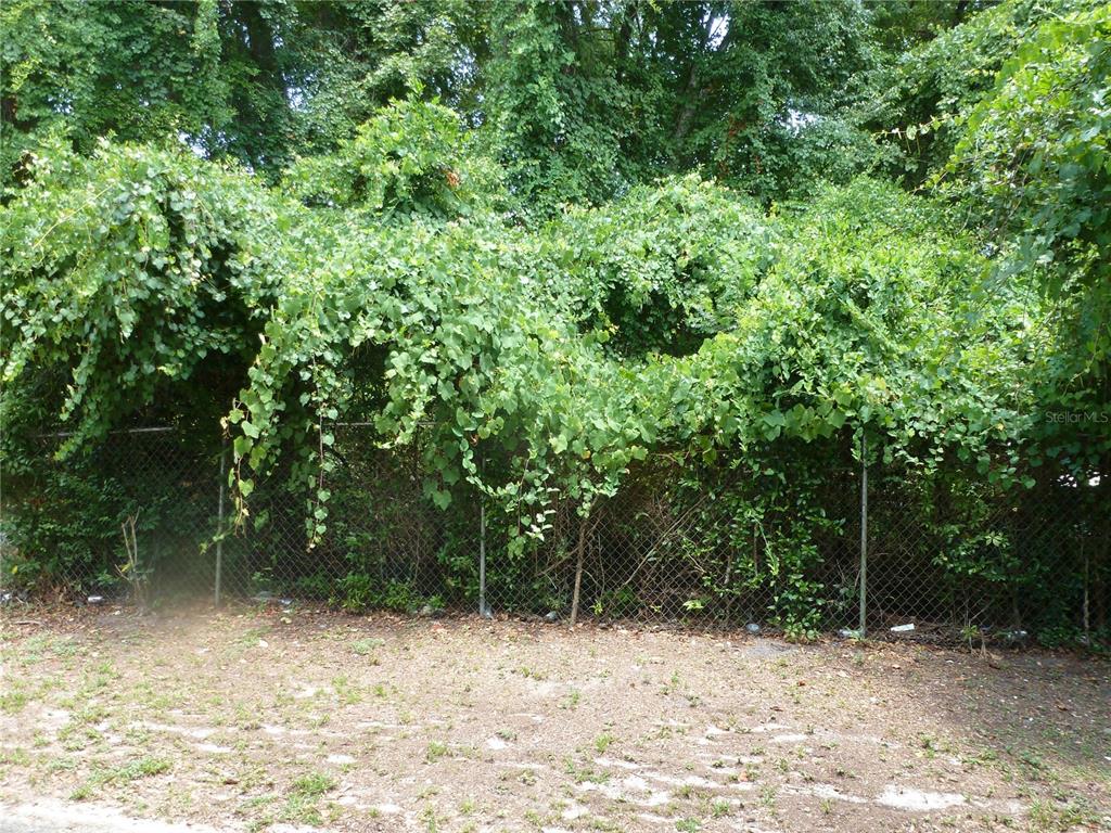 A chain-link fence is heavily overgrown with green vines and dense foliage — 1031 SW 62ND TERRACE, GAINESVILLE, FL