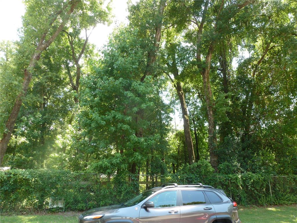 A grey SUV is parked in front of a chain-link fence and dense, tall trees — 1031 SW 62ND TERRACE, GAINESVILLE, FL