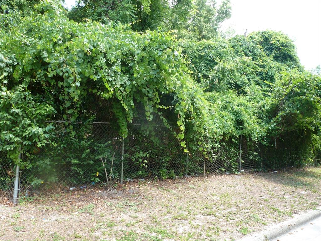 A chain-link fence is heavily overgrown with vines and dense green foliage — 1031 SW 62ND TERRACE, GAINESVILLE, FL