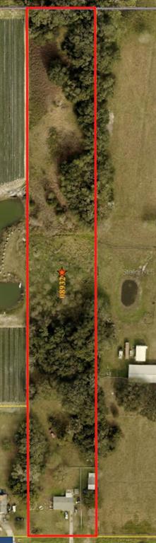 This is an aerial map view of a long, narrow rectangular plot of land — 4316 E KNIGHTS GRIFFIN ROAD, PLANT CITY, FL