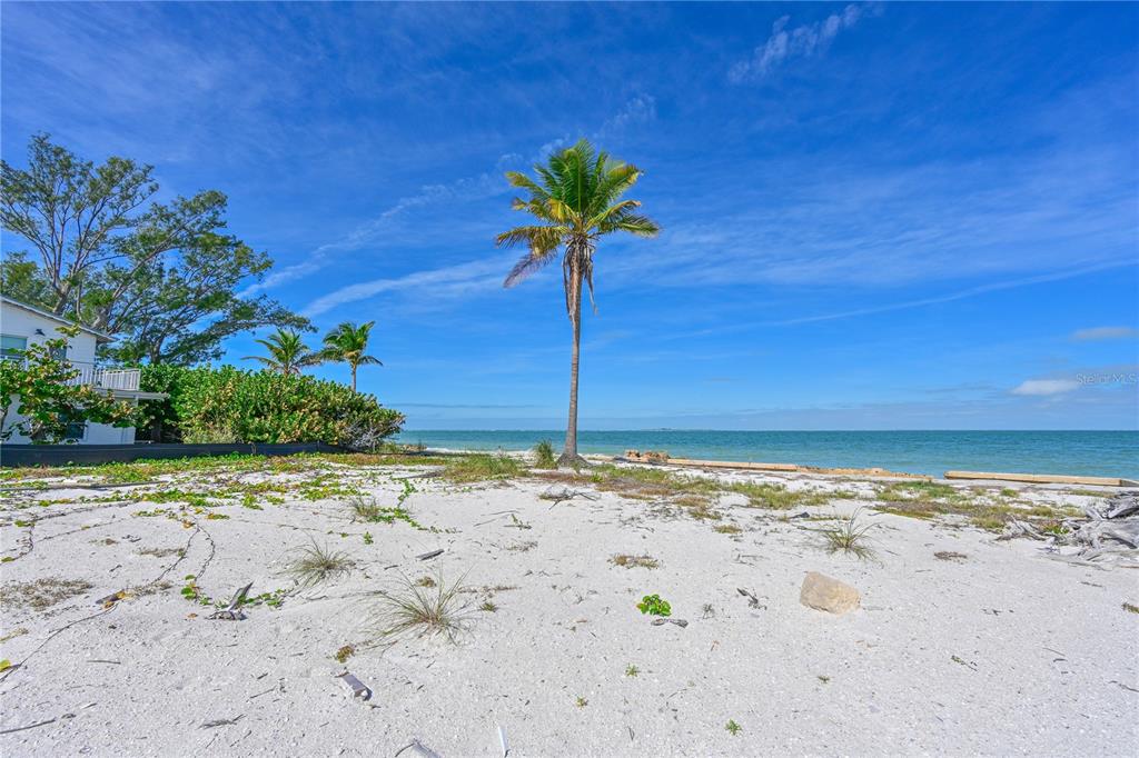 A sandy beach with a lone palm tree overlooks the ocean near a coastal home — 839 N SHORE DRIVE, ANNA MARIA, FL