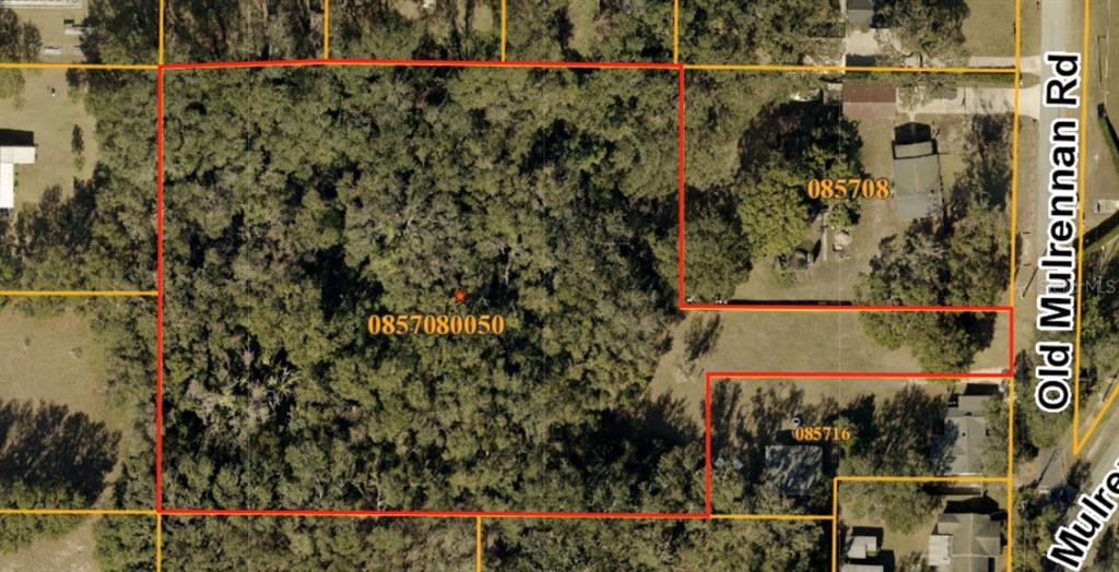This is an aerial map showing a wooded land parcel outlined in red — 224 OLD MULRENNAN ROAD, VALRICO, FL