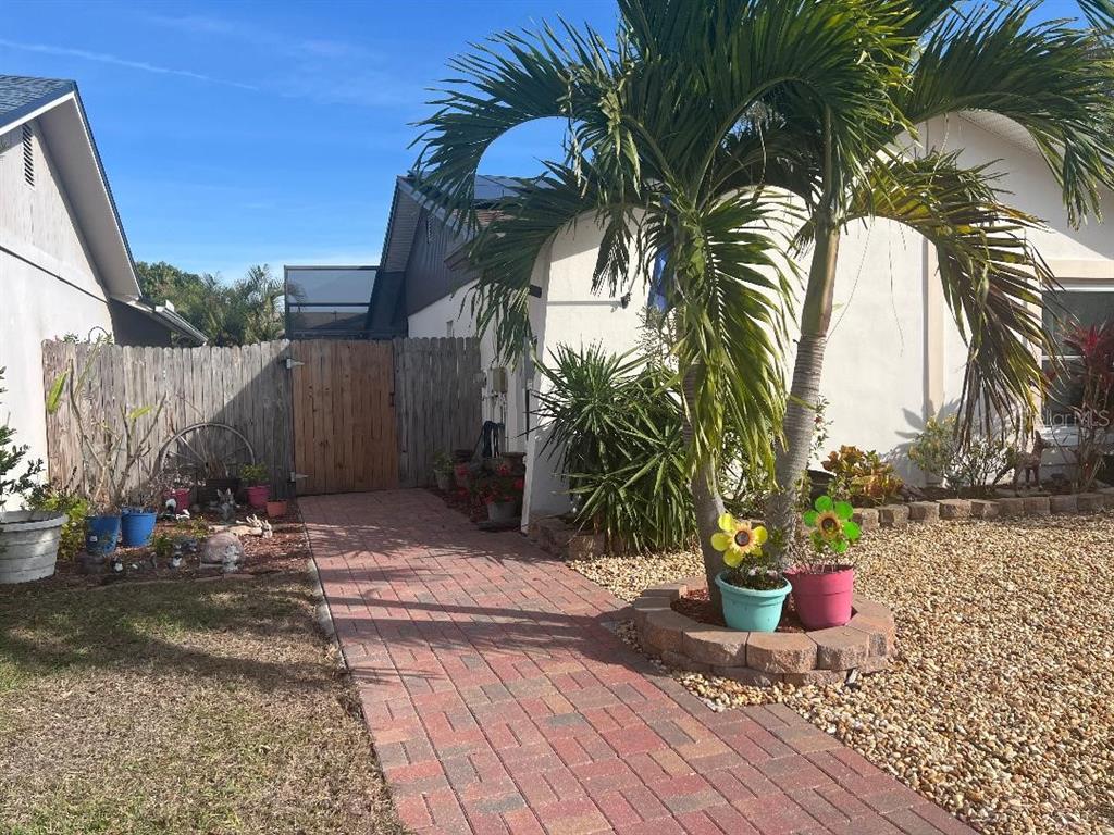 A brick walkway leads to a wooden gate beside a house with a palm tree — 2009 SAN SEBASTIAN WAY S, CLEARWATER, FL