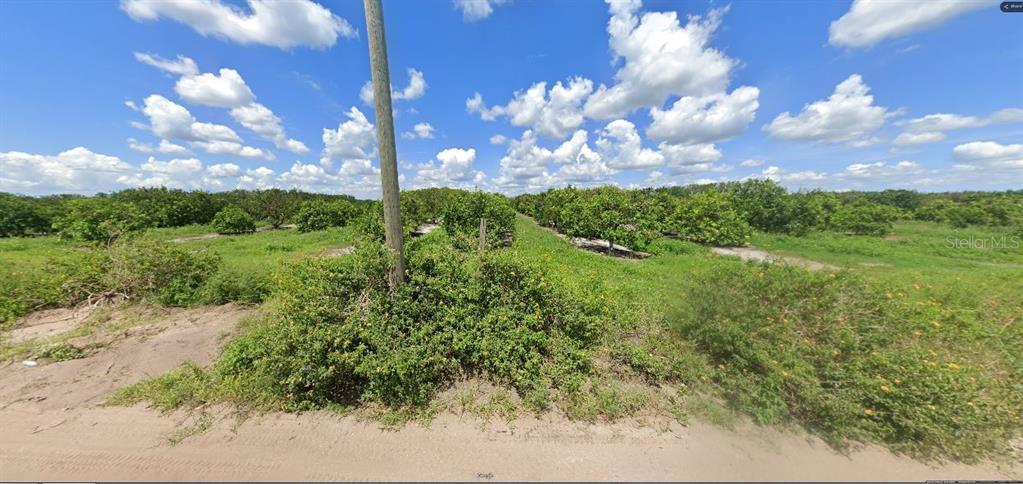 HOLOPAW GROVES ROAD, ST CLOUD, FL — photo 3 of 3