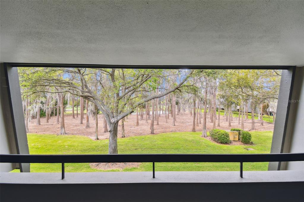A view from a balcony overlooking a grassy lawn and a wooded area with trees — 36750 US 19 N UNIT 06211, PALM HARBOR, FL