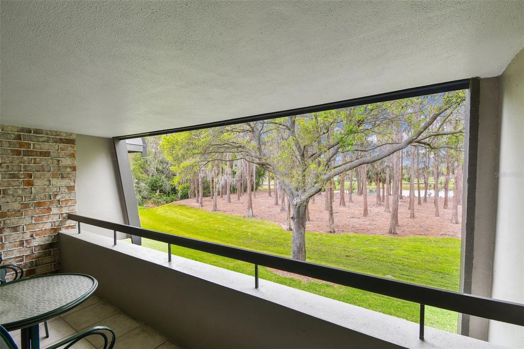 A covered balcony with a brick wall overlooks a grassy lawn and a wooded area — 36750 US 19 N UNIT 06211, PALM HARBOR, FL