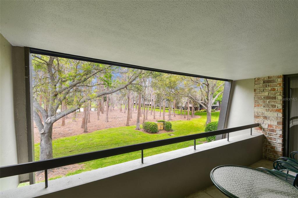 A covered balcony with a metal railing overlooks a grassy area with trees and a pond — 36750 US 19 N UNIT 06211, PALM HARBOR, FL