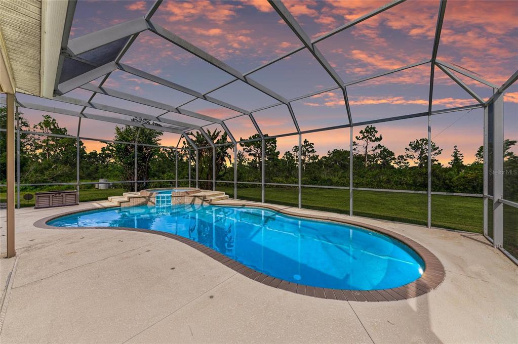 A screened-in swimming pool and spa sit on a concrete patio overlooking a grassy yard — 8331 241ST STREET E, MYAKKA CITY, FL