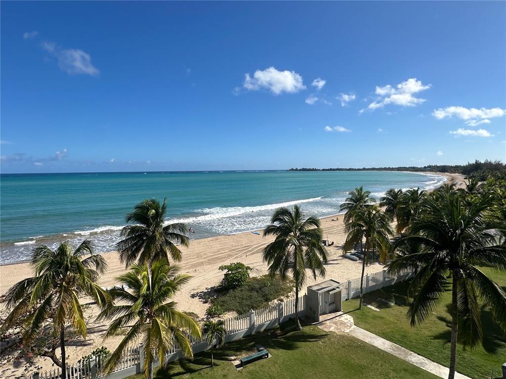 An elevated view of a sandy beach with palm trees and the ocean — 7043 Horizonte St. PLAYA DORADA UNIT 602A, CAROLINA, PR