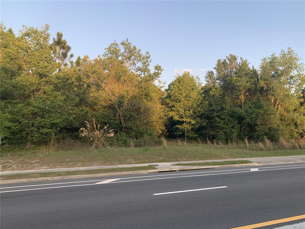 A vacant, wooded lot sits behind a sidewalk and a paved road — 18111 N US HWY 301, CITRA, FL