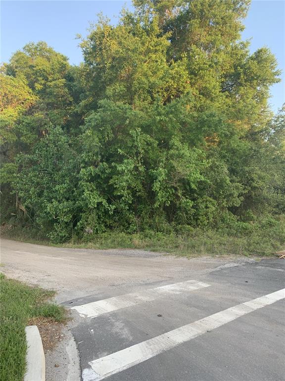 A gravel road meets a paved street in front of a dense, wooded area — 18111 N US HWY 301, CITRA, FL