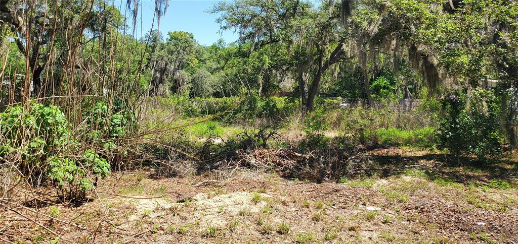 A vacant, overgrown lot features scattered brush, sandy soil, and mature trees with Spanish moss — 11939 BEMONT AVENUE, NEW PORT RICHEY, FL