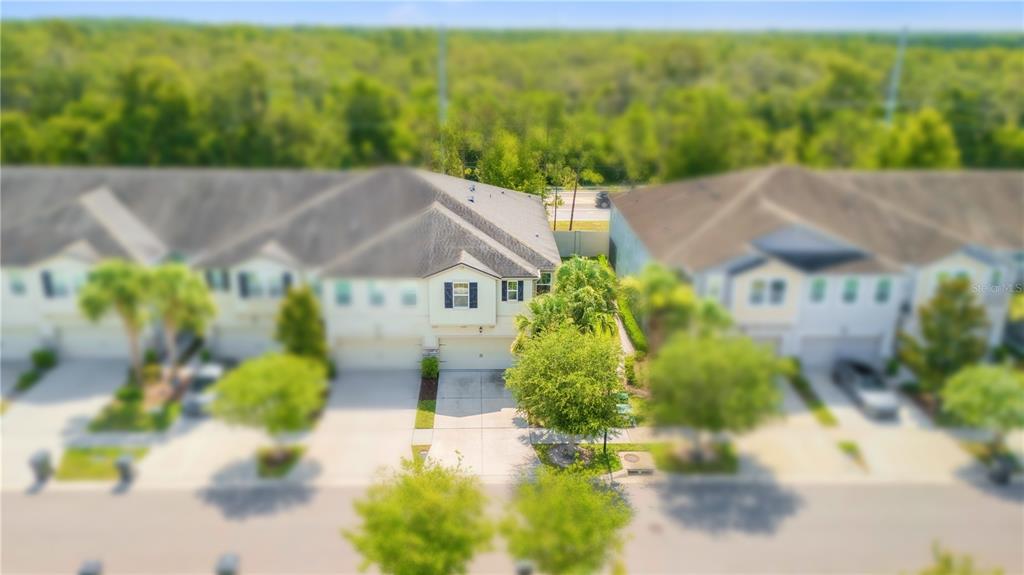 An aerial view of a two-story townhouse with a driveway and surrounding trees — 10316 HOLSTEIN EDGE PLACE, RIVERVIEW, FL